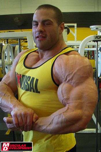 Evan Centopani