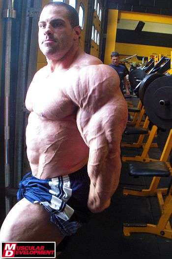 Evan Centopani