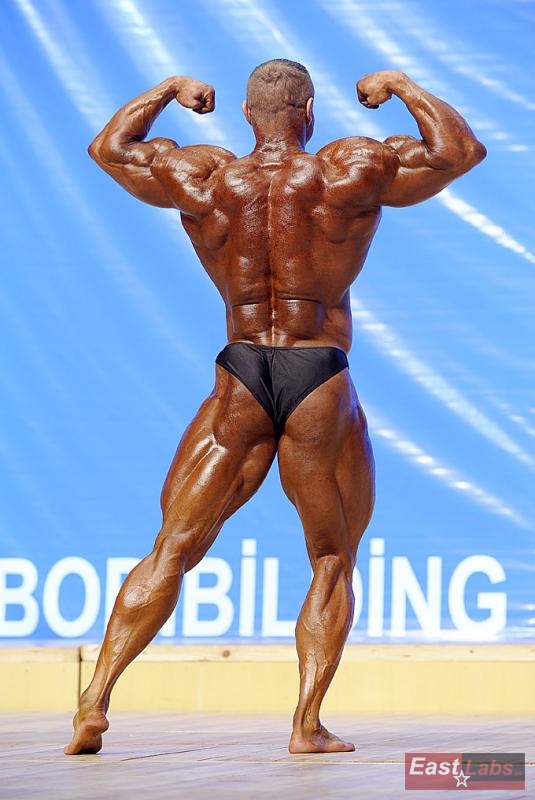 Dalibor H�jek