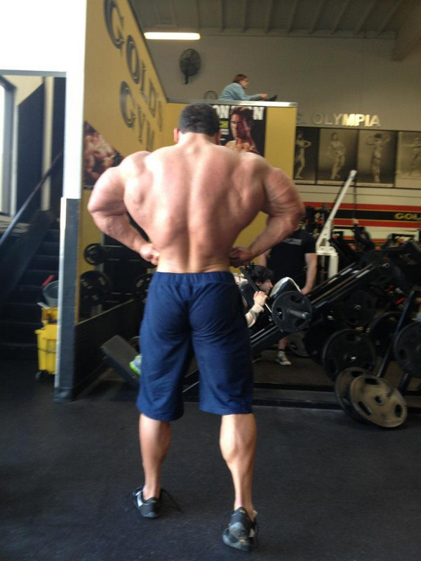 Nick Trigili