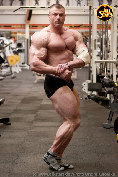 Dalibor H�jek