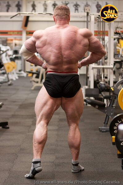 Dalibor H�jek