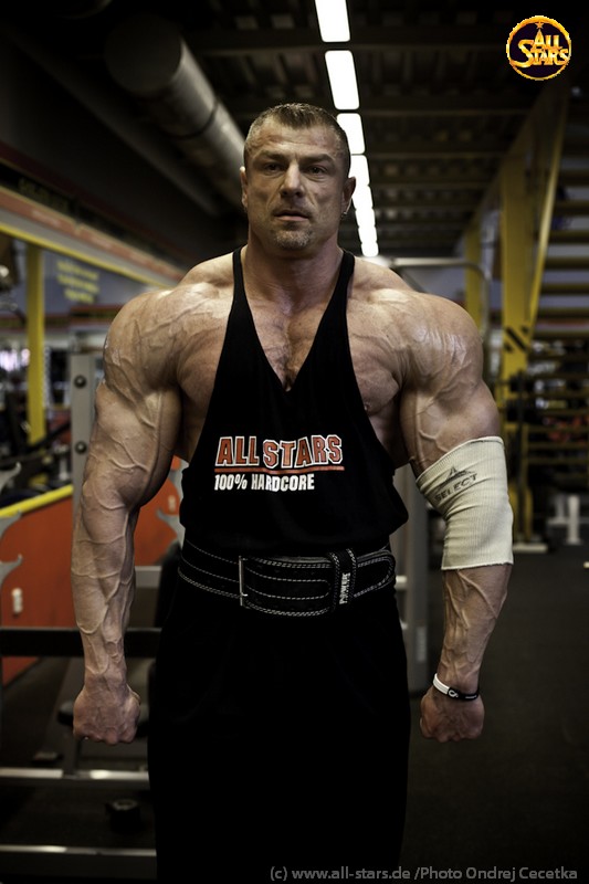 Dalibor H�jek