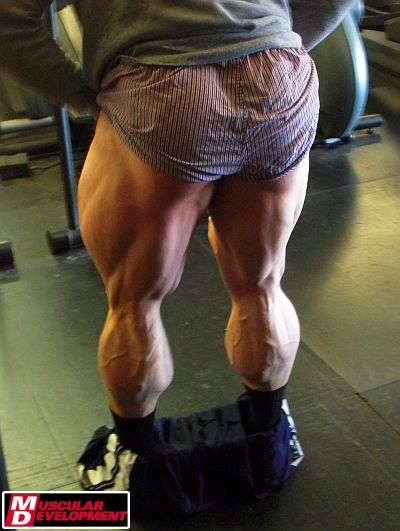 Evan Centopani