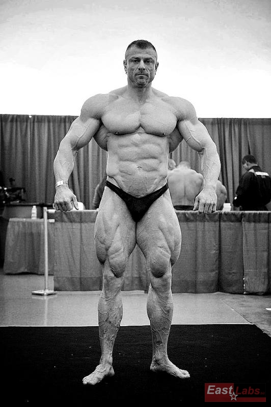 Dalibor H�jek