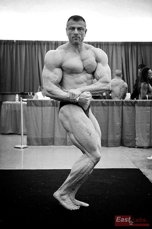 Dalibor H�jek