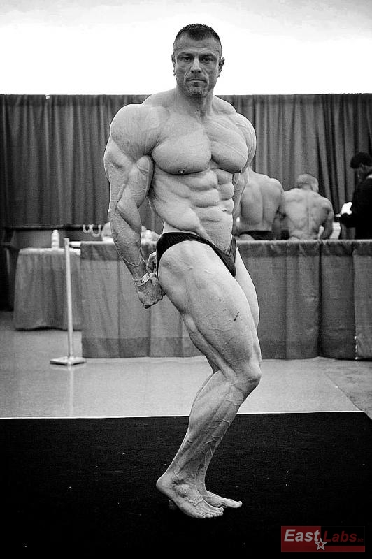 Dalibor H�jek