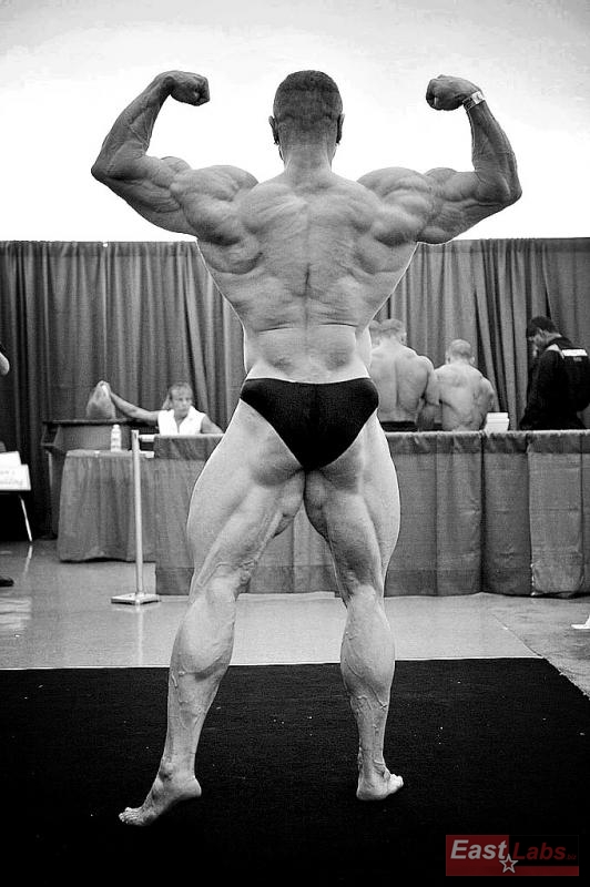 Dalibor H�jek