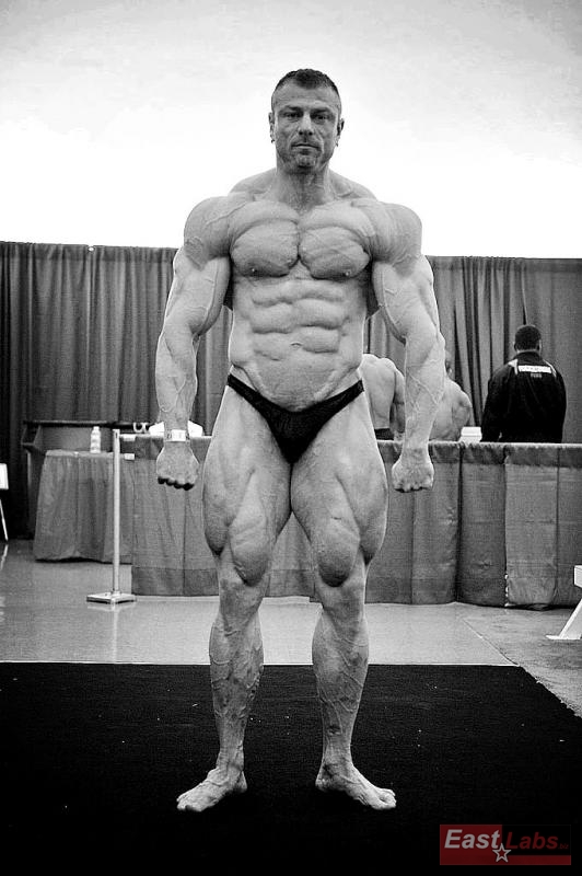 Dalibor H�jek