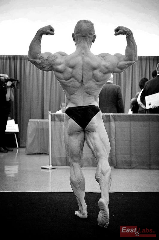 Martin Rezek