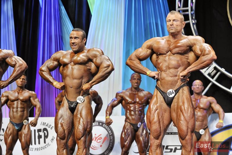 Sergey Bazarov, Dalibor H�jek
