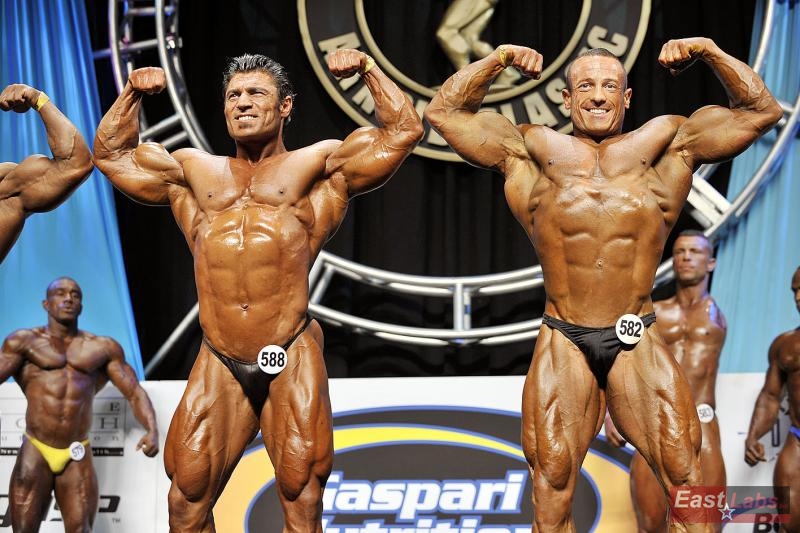 Mahmut Irmak, Chris Jones