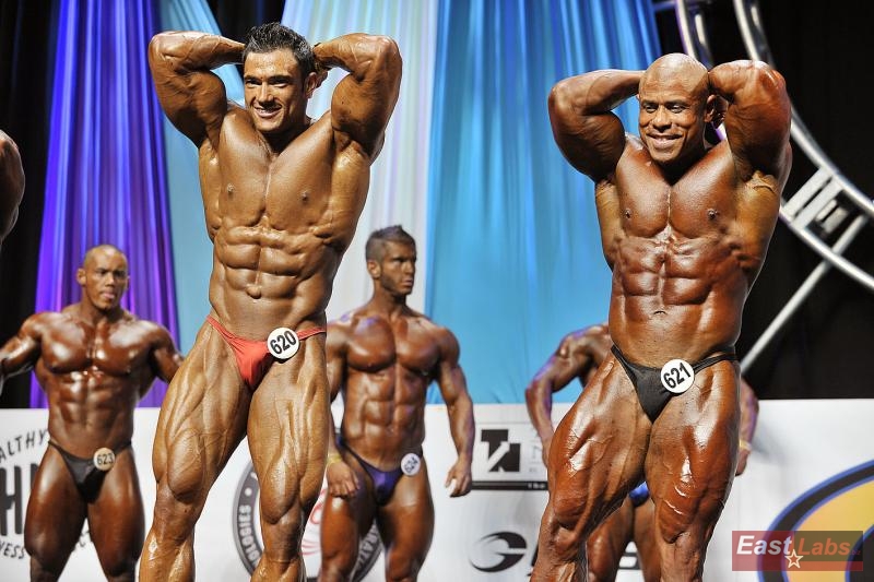 Tony Searle, Jose Angel Bustamante