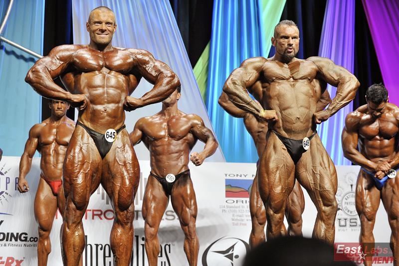 �tefan Havl�k, Miha Zupan