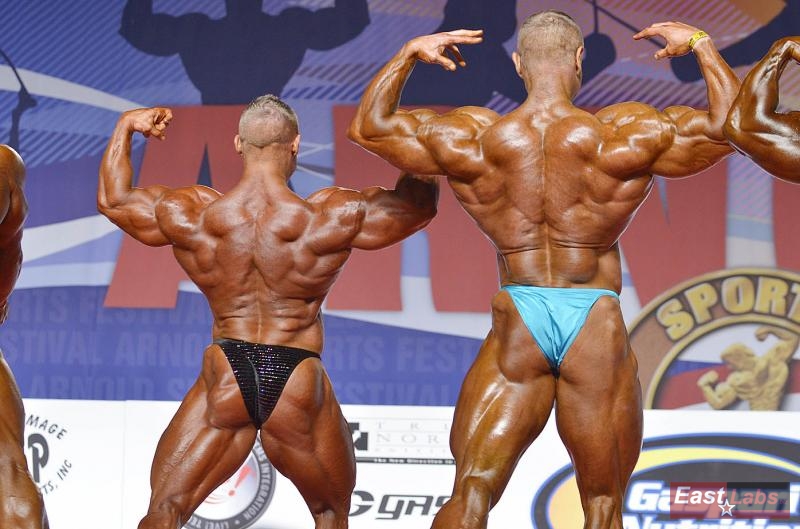 Daniel Toth, Dalibor H�jek
