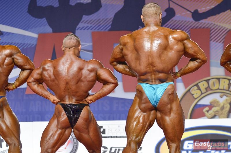 Daniel Toth, Dalibor H�jek