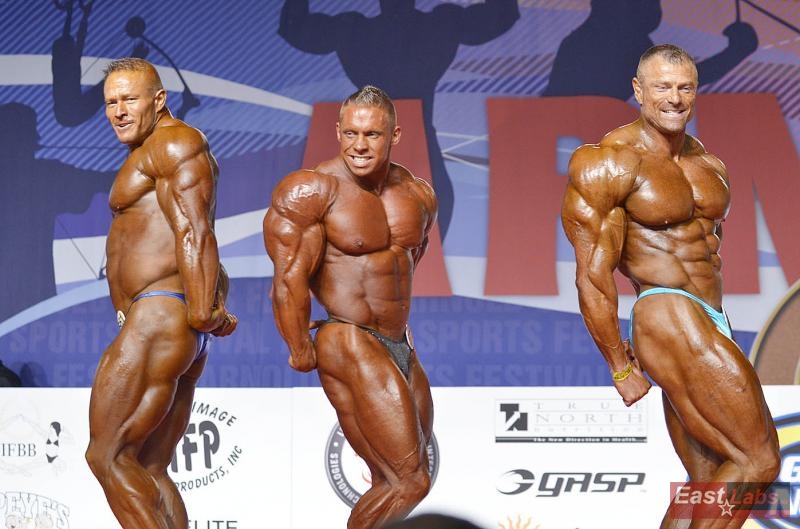 David Titterton, Daniel Toth, Dalibor H�jek