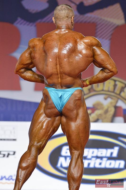 Dalibor H�jek