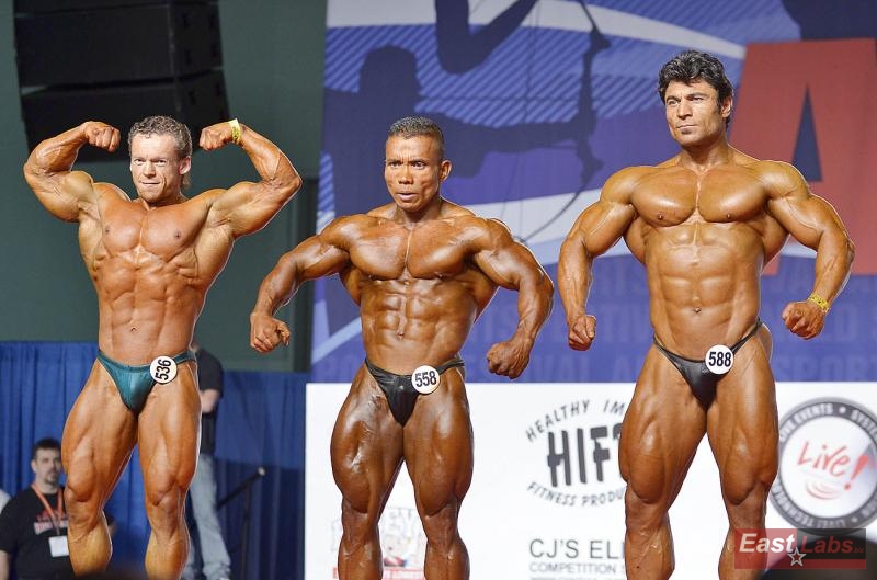 Ilya Nazin, Roman Cortuna, Mahmut Irmak