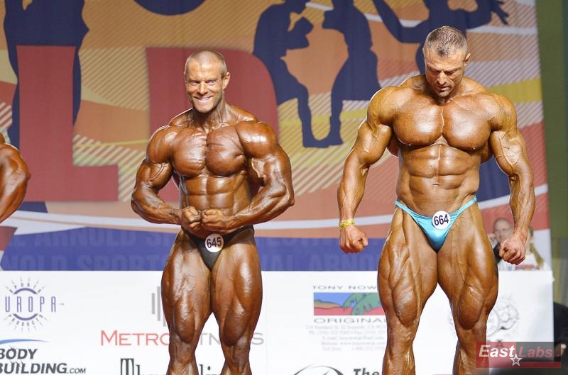 �tefan Havl�k, Dalibor H�jek