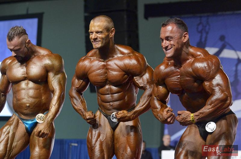 Miha Zupan, �tefan Havl�k, Paolo Fontana
