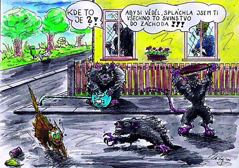 Autor: Martin Nov�k