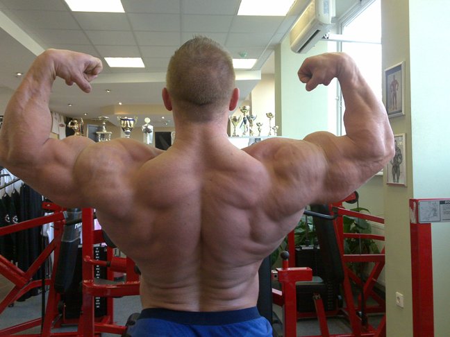 Daniel Toth