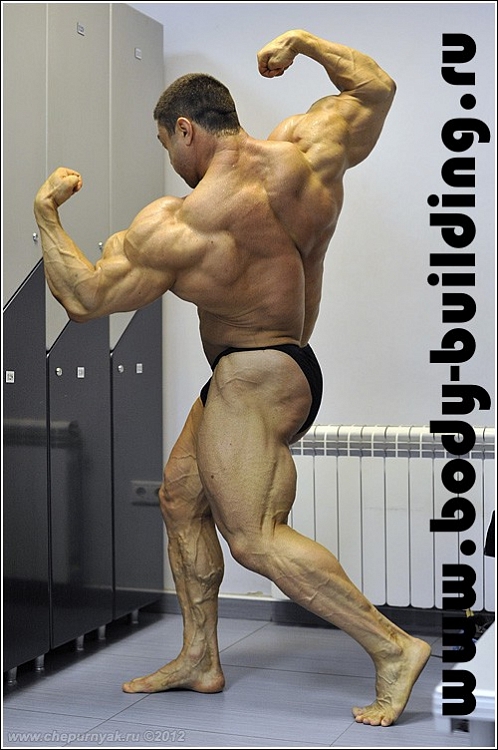 Sergey Shelestov