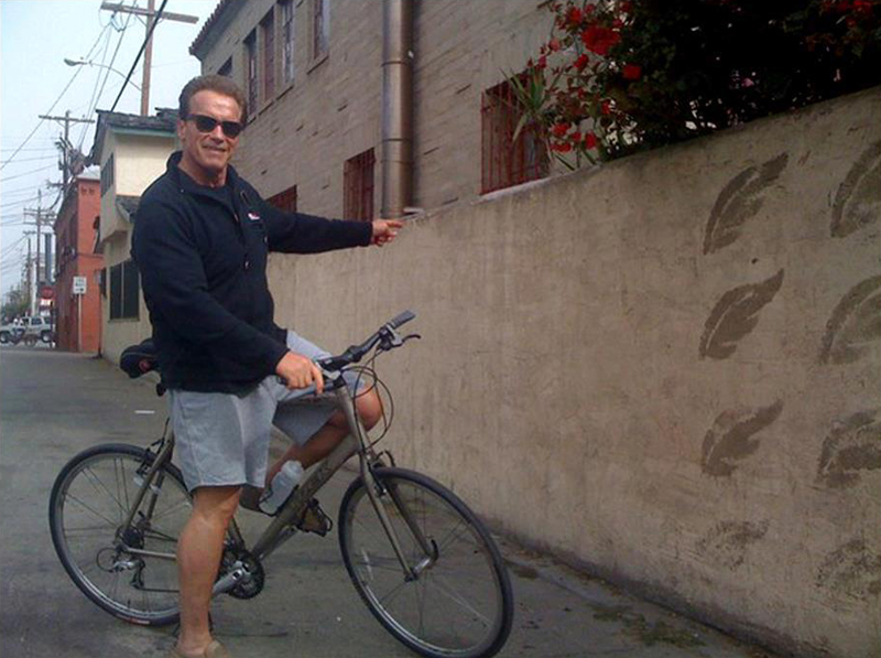Arnold Schwarzenegger