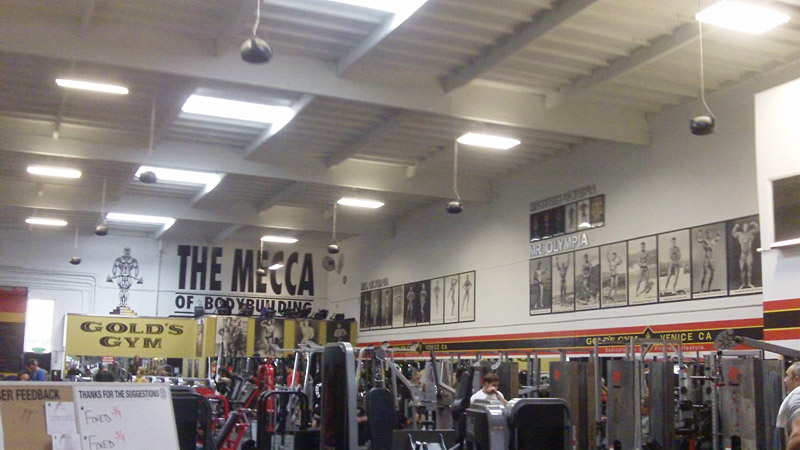Modern� Venice - Mekka kulturistiky dnes