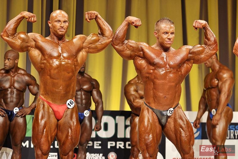 Tom� Bure�, Daniel Toth