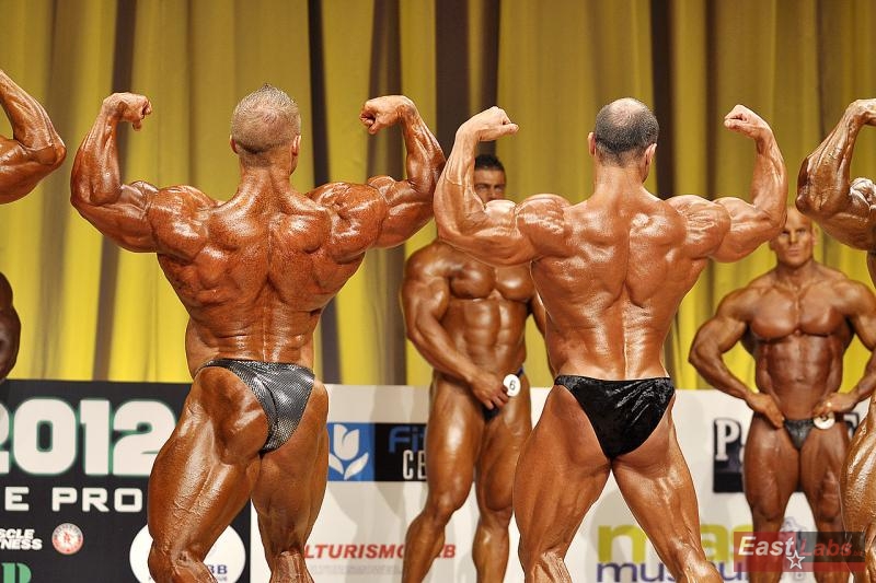 Daniel Toth, Steve Benthin