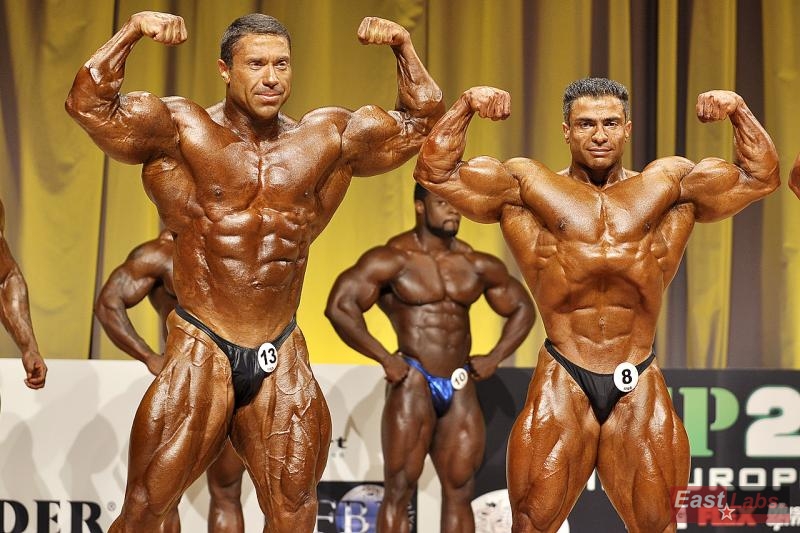 Sergey Shelestov, Baitollah Abbaspour