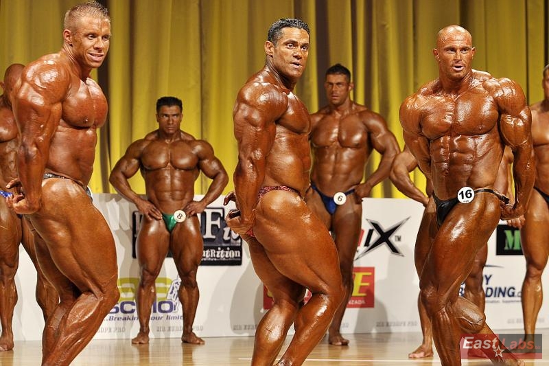Daniel Toth, Gustavo Badell, Tom� Bure�