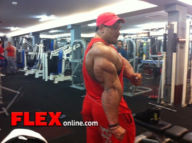 Roelly Winklaar