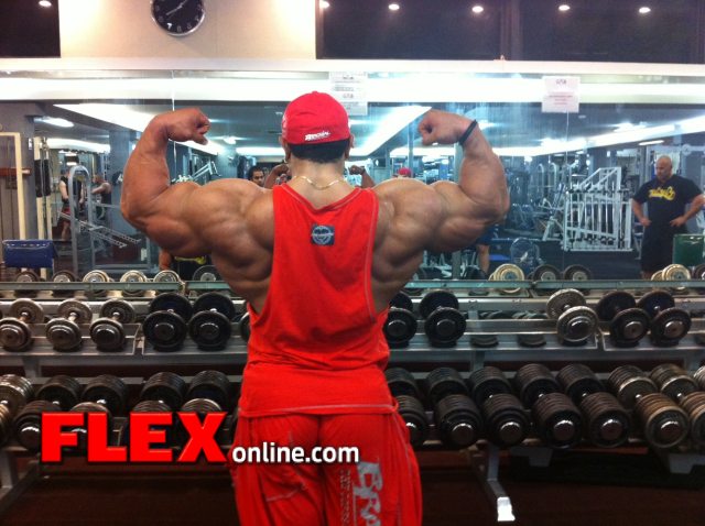 Roelly Winklaar