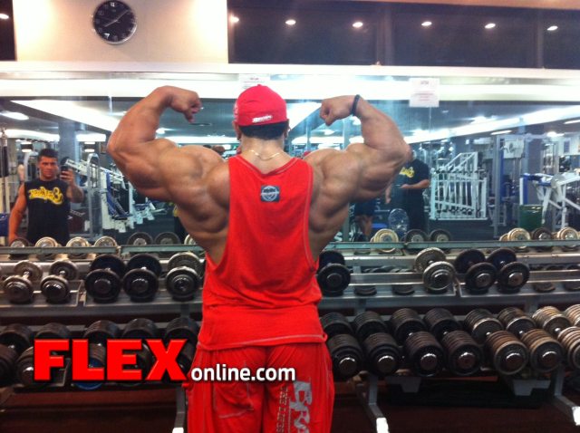 Roelly Winklaar