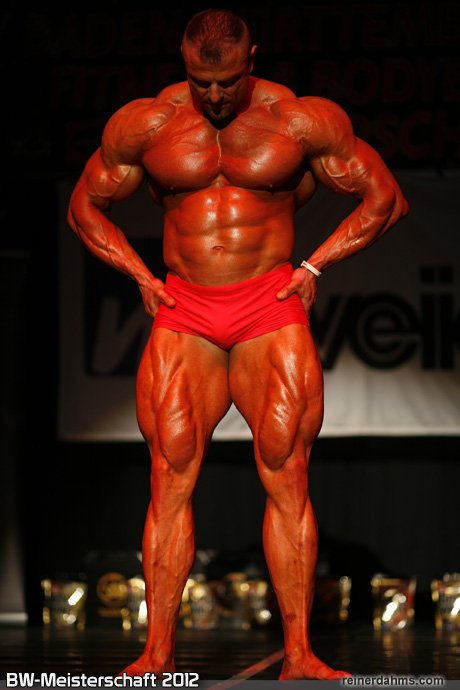 Dalibor H�jek