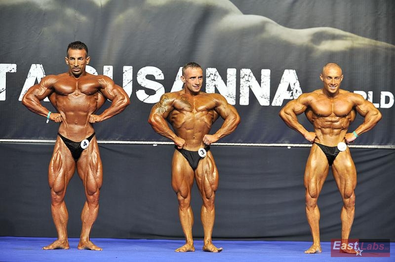 Aydin Bi�en, Marcin Kosel, Radoslav Angelov 