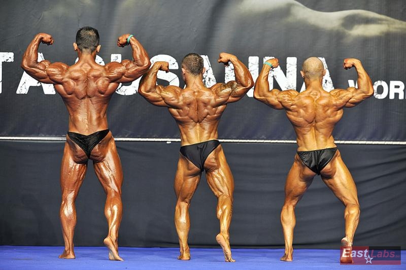 Aydin Bi�en, Marcin Kosel, Radoslav Angelov 
