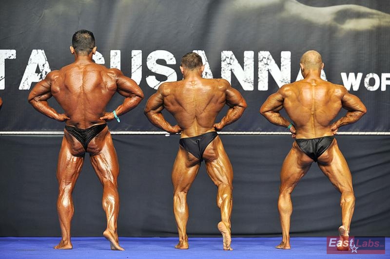 Aydin Bi�en, Marcin Kosel, Radoslav Angelov 