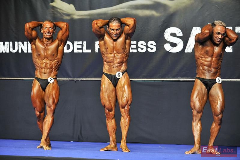 Miroslav �kadra, Miguens Soto, Ufuk Co�kun
