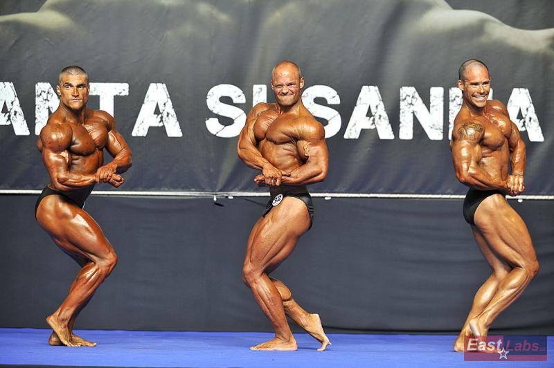 Anatolii Sorokin, Roman Kronberger, Nikola Demo