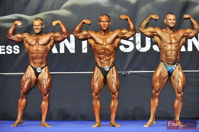 �tefan Havl�k, Peter Tatarka, Miha Zupan