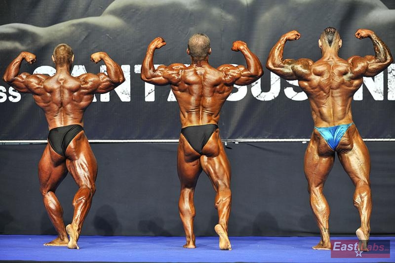 �tefan Havl�k, Peter Tatarka, Miha Zupan
