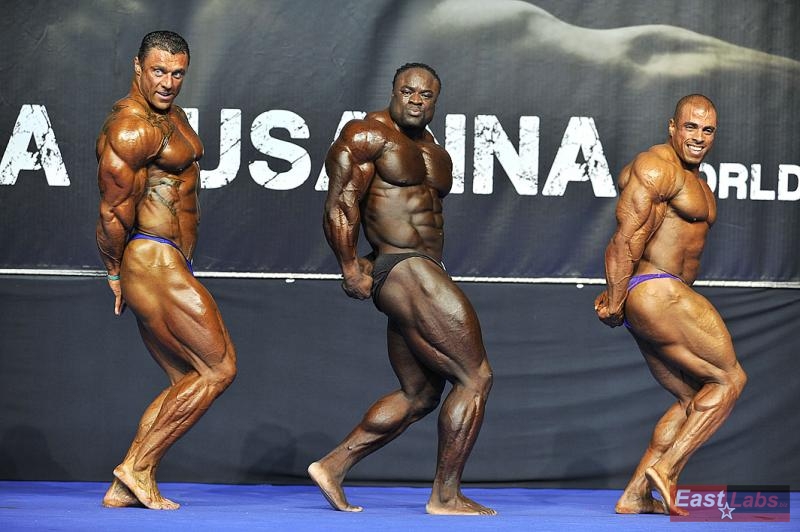 Mikhail Sidorychev, Patrick Johnsson, Mdor Zaradez