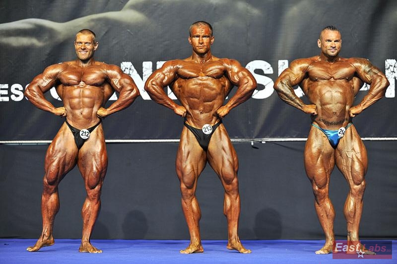 �tefan Havl�k, Peter Tatarka, Miha Zupan