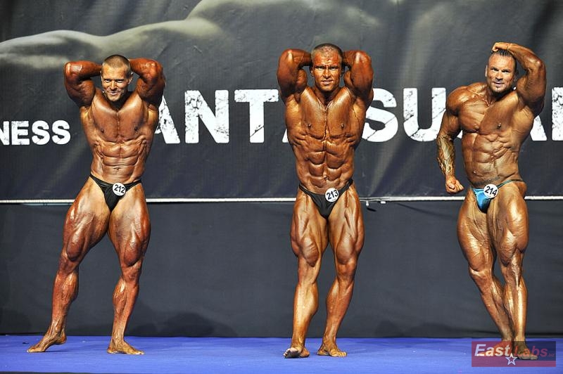 �tefan Havl�k, Peter Tatarka, Miha Zupan