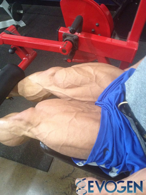 Steve Kuclo
