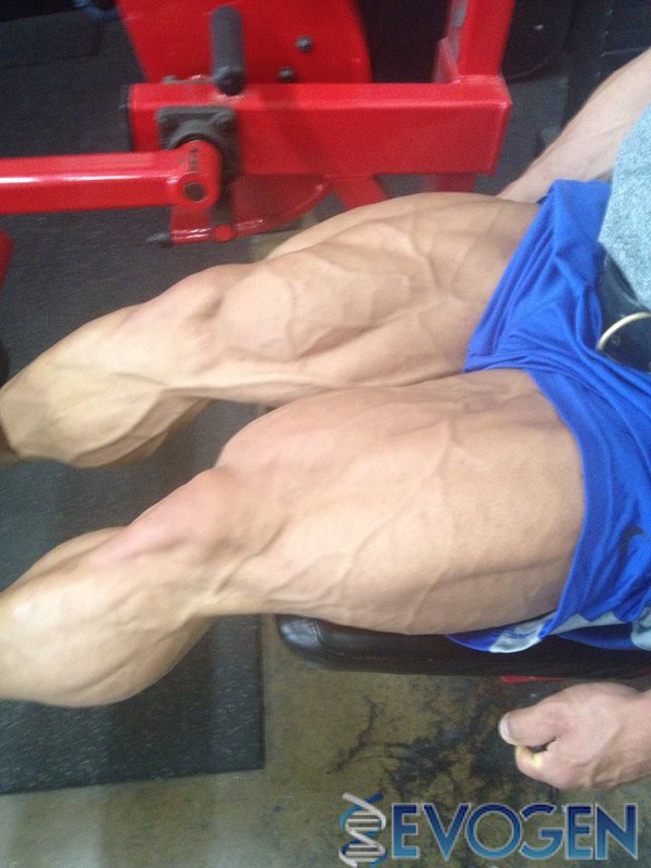 Steve Kuclo